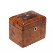 AN EARLY 19TH CENTURY BLONDE TORTOISESHELL TEA CADDY