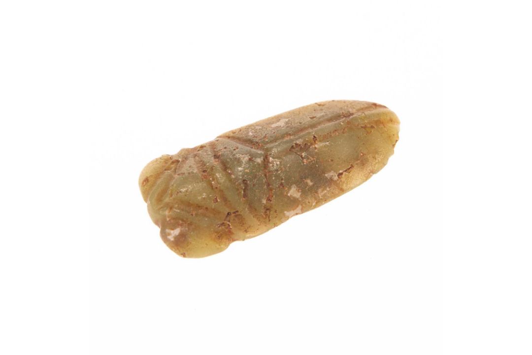 A CHINESE JADE CICADA