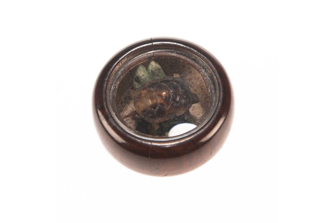 A CHINESE FENG SHUI TURTLE, 19TH CENTURY