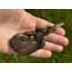 THREE PIECES OF CHINESE JADE - Image 6 of 11