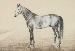 DONALD MATTINSON (20TH CENTURY) PORTRAIT OF THE RACEHORSE 'AURALIA', 1943