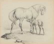 20TH CENTURY ENGLISH SCHOOL SKETCH OF A MARE WITH HER FOAL