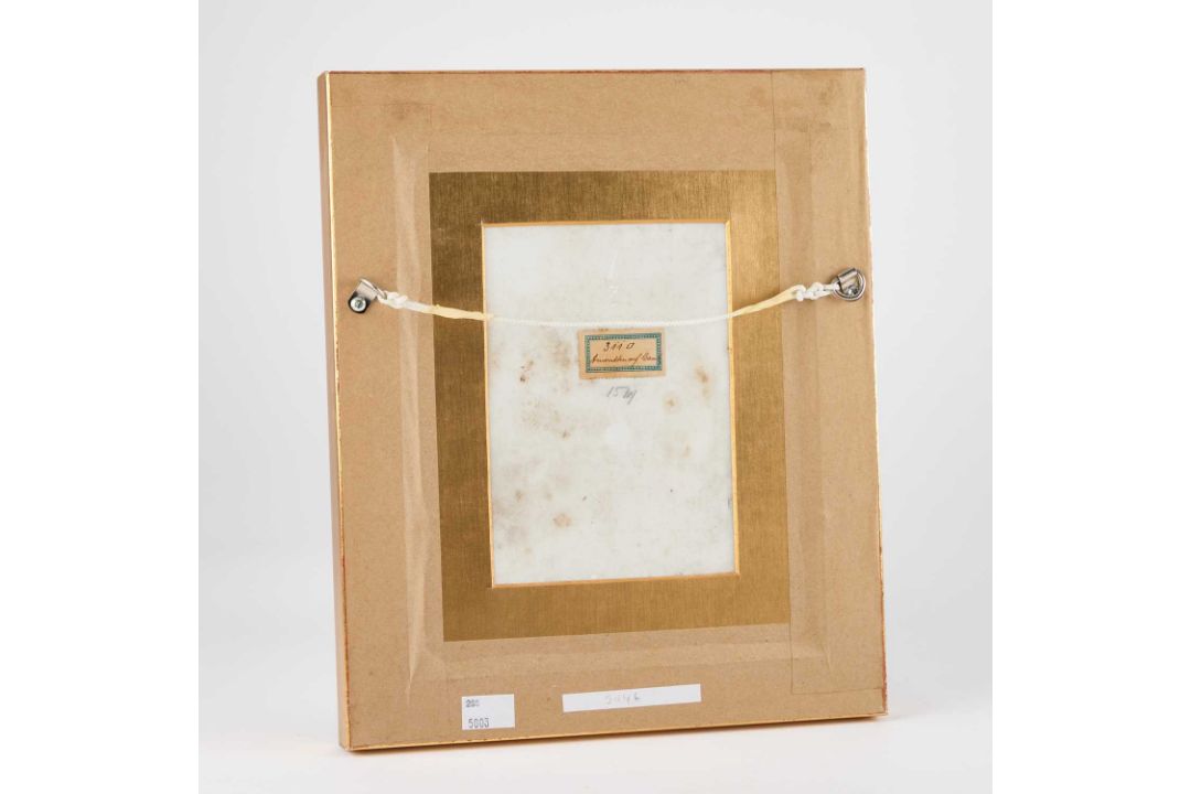A CONTINENTAL PORCELAIN PLAQUE, CIRCA 1900 - Image 2 of 2