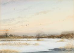 PATER HAYMAN (BORN 1930) BARN OWL ON PATROL AND WINTER FLIGHT