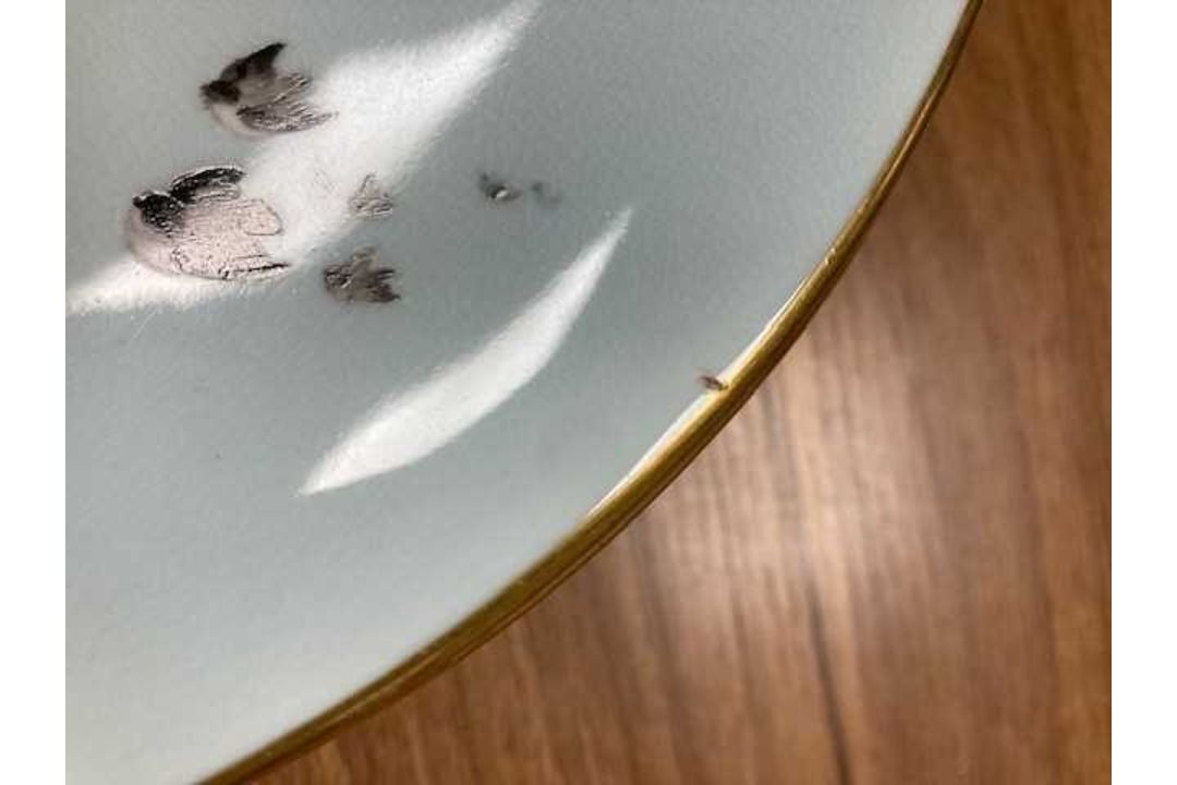 EIGHT ROYAL WORCESTER CABINET PLATES - Image 2 of 3
