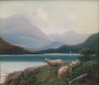 LATE 19TH/ EARLY 20TH CENTURY ENGLISH SCHOOL WELSH MOUNTAIN SHEEP IN A LANDSCAPE