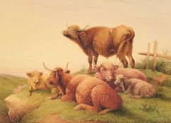 FREDERICK E VALTER (C. 1860-1930) HIGHLAND CATTLE