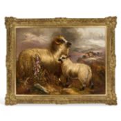 ROBERT CLEMINSON (1844-1903) A SHEEP AND HER LAMB