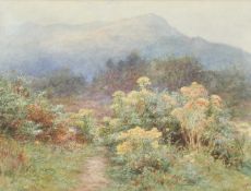 WILLIAM EDEN (EXH 1880-1906) IN THE LAKE DISTRICT