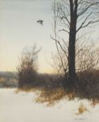 PHILIP MURPHY (20TH CENTURY) WOODCOCK IN FLIGHT