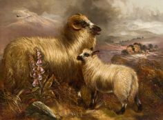 ROBERT CLEMINSON (1844-1903) A SHEEP AND HER LAMB