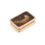 AN 18TH CENTURY GOLD-MOUNTED AGATE BOX