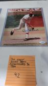 Bob Gibson signed photo authenticated