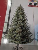 7.5ft Linden Fir Tree