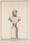 GHIGI (18.Jhd, 19.Jhd) nach AGRICOLA (*1759), Büste des Antinoos, KSt. Klassizis