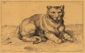 A. CAYLUS (1692-1765), Liegende Katze, Radierung Barock Tiere 1700-1749