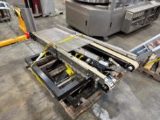 Small Twin Belt Conveyors