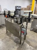 Bevco Bottling Conveyor