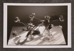 FIONA McLAREN - Tulip series, 2020