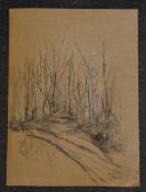 EMMA COLEMAN-JONES - Silver Birches, Wytham Woods