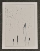 MATT FROST - Flowers V