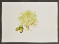 DAVID HARMER - Oak tree
