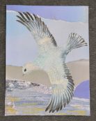 ELEANOR ALLITT - Bird Collage