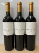 Tempus Alba 2008, Syrah, Mendoza, Argentina Eleven bottles