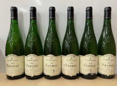 Ten assorted white wines - Saumur, Loire Valley