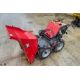 Belle BMD 300 petrol driven walk behind dumper Year: 2015 S/N: BMD25147162 BEL0944 - Image 9 of 12