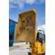 Thwaites 1 tonne hi tip dumper Year: 2021 S/N: 119F3199 Recorded Hours: 892 2104TWT908 - Image 10 of 22