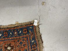 Rugs & Carpets: