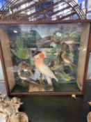Taxidermy: