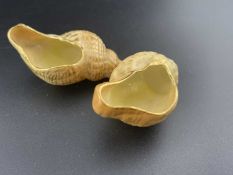 Ceramics: