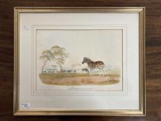 Frank Howard (British 1805-1866):