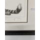 Gary Hodges: - Image 2 of 9