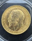 Gold Coins: