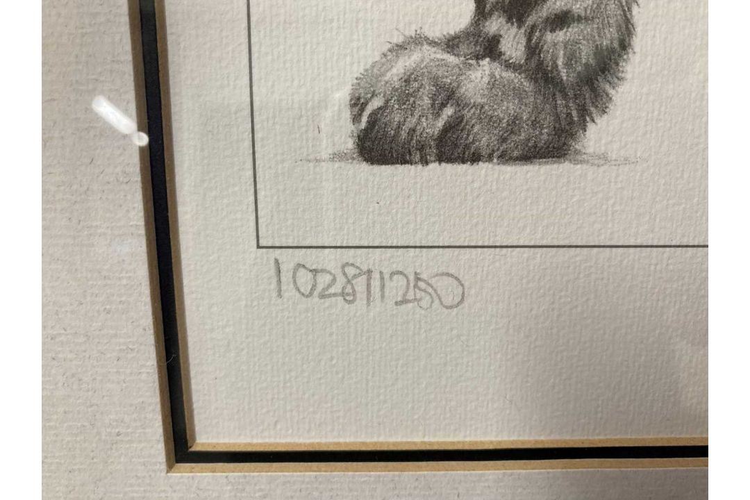 Gary Hodges: - Image 3 of 9