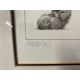 Gary Hodges: - Image 3 of 9