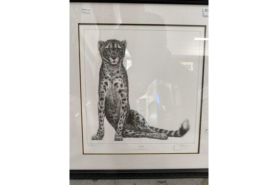 Gary Hodges: - Image 1 of 9