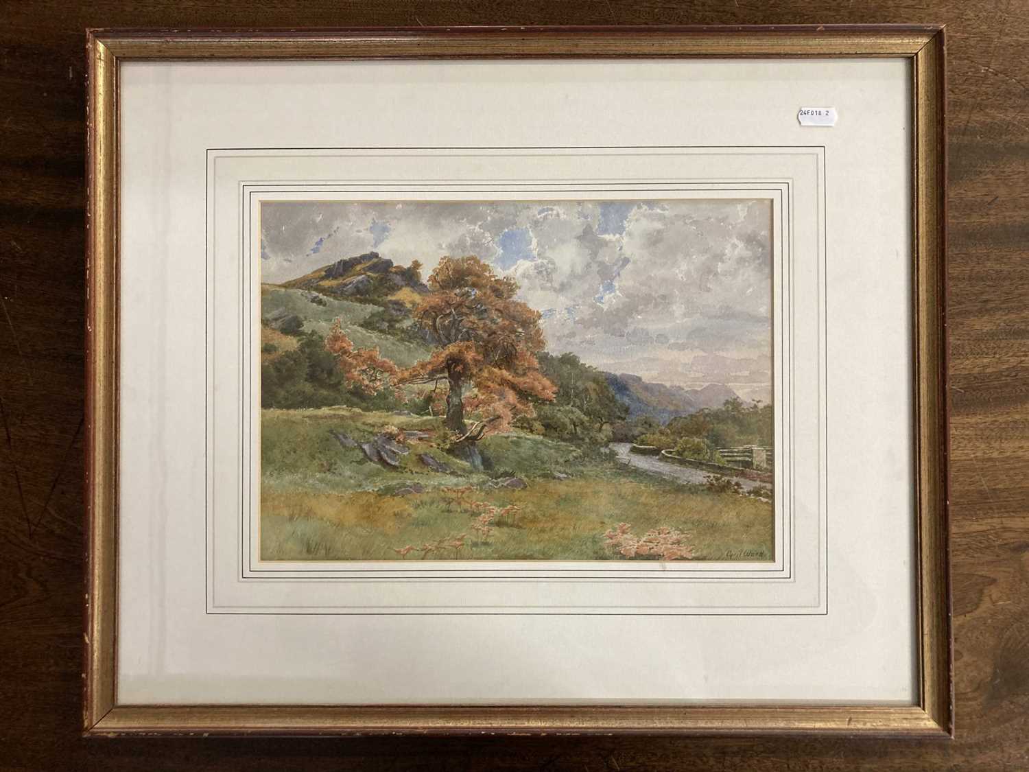 Cyril Ward (1863-1935): - Image 4 of 8