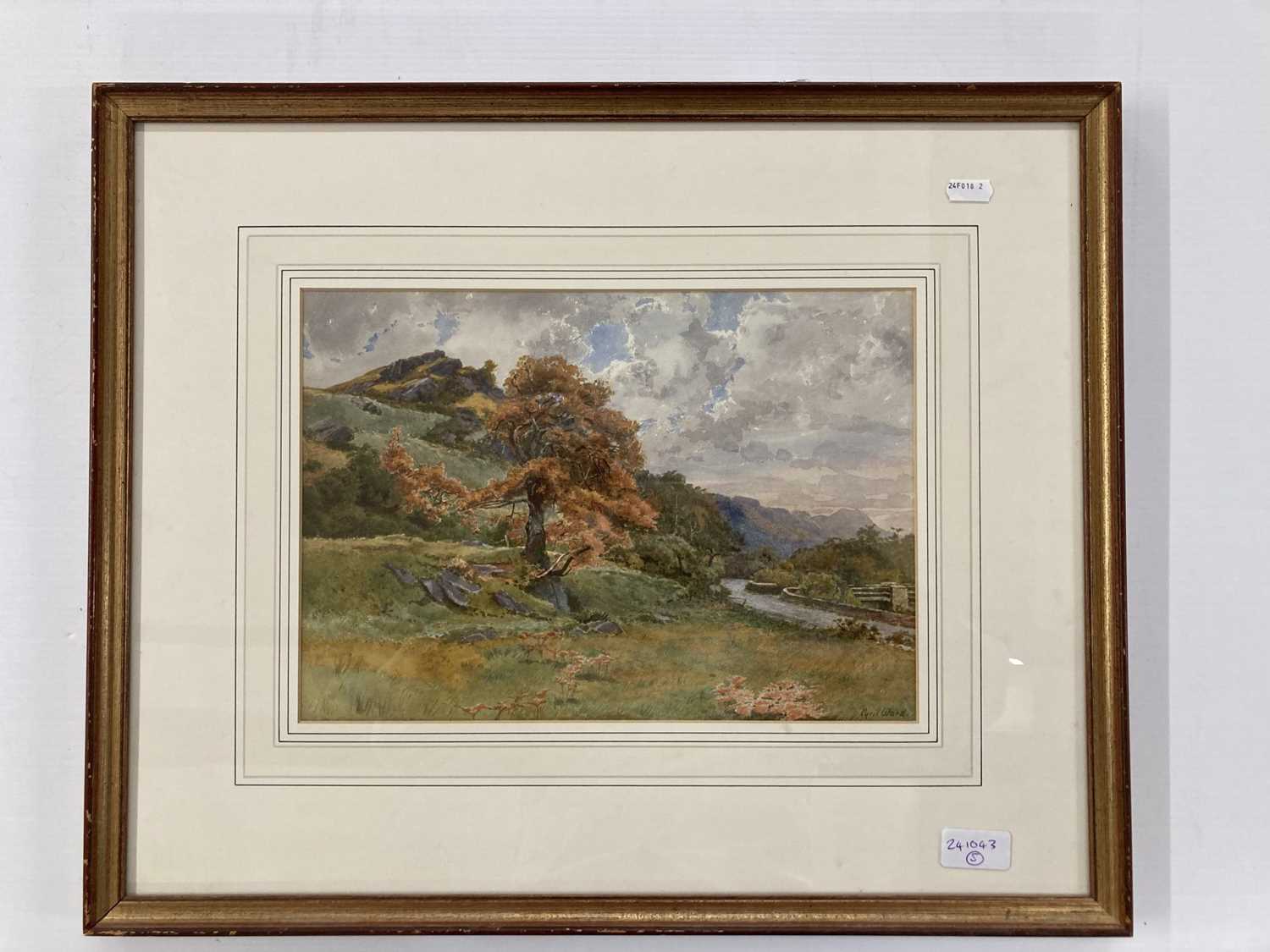 Cyril Ward (1863-1935): - Image 6 of 8