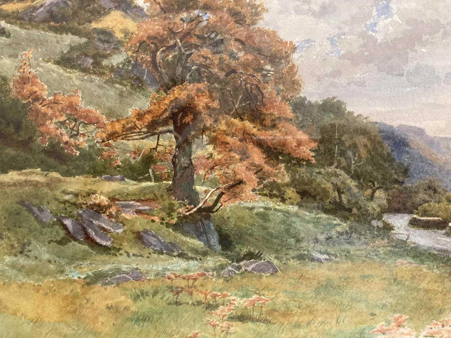 Cyril Ward (1863-1935): - Image 3 of 8