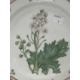 20th cent. Ceramics: - Image 2 of 4