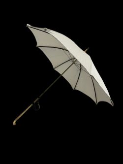 Two Day Auction of Antiques, Fine Art, Jewellery and Collectors Items.