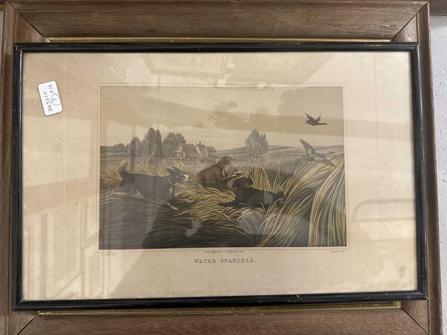 Prints: - Image 4 of 6