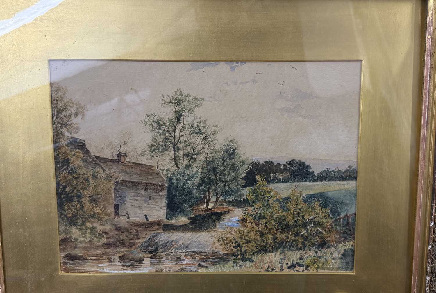 Fraser Selby: - Image 4 of 8