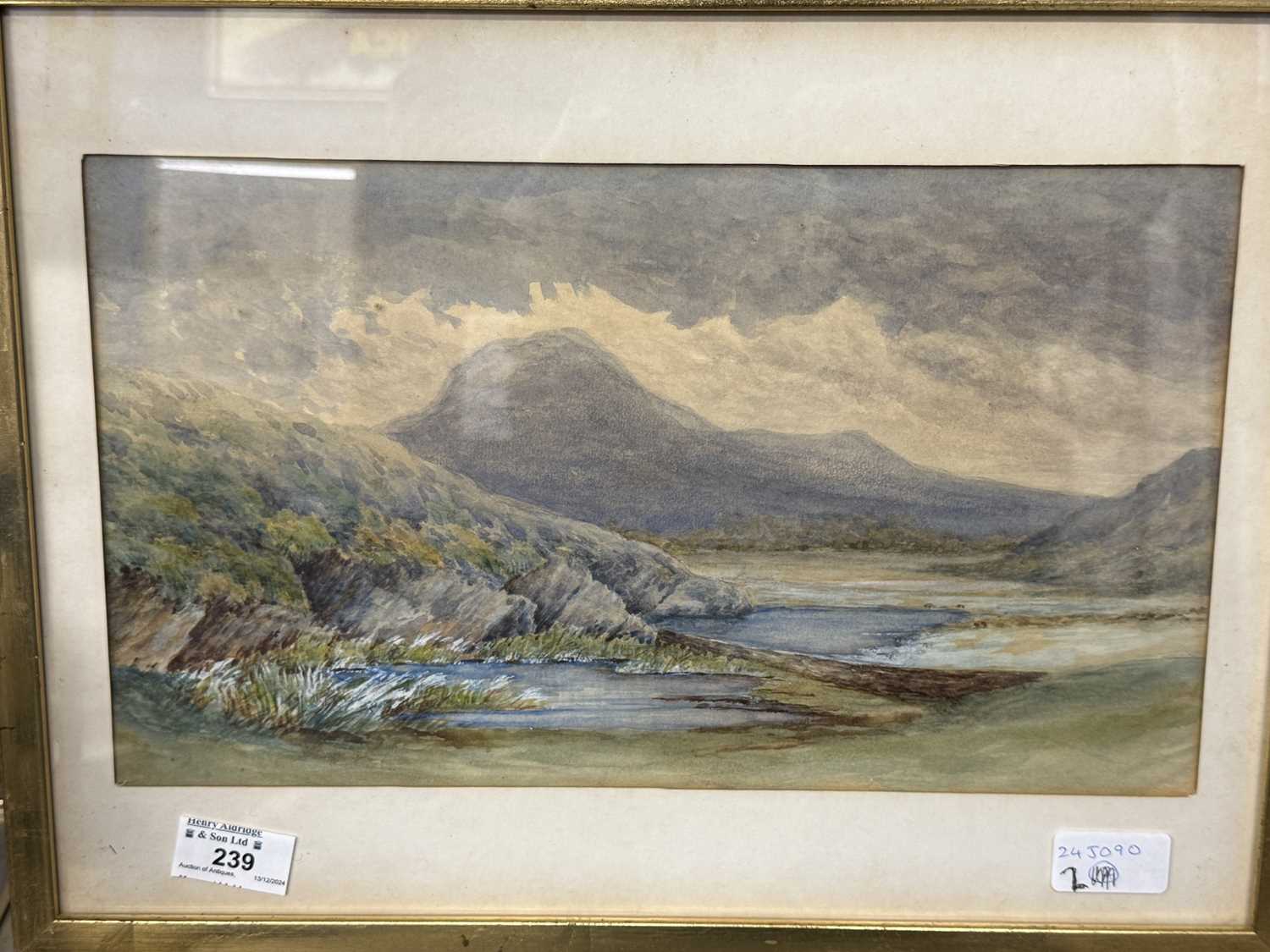 Fraser Selby: - Image 2 of 8