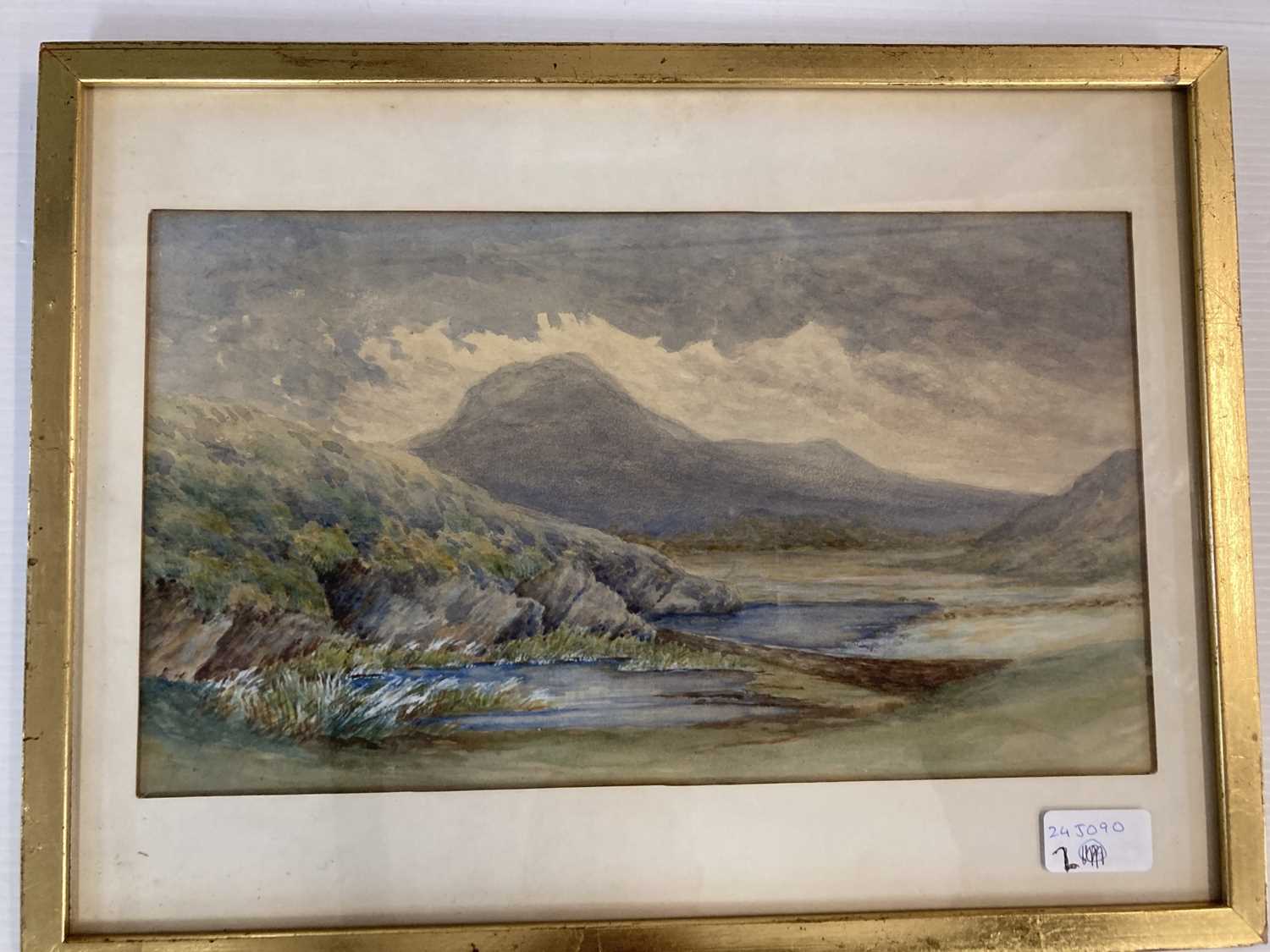 Fraser Selby: - Image 6 of 8