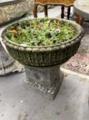 Gardenalia: